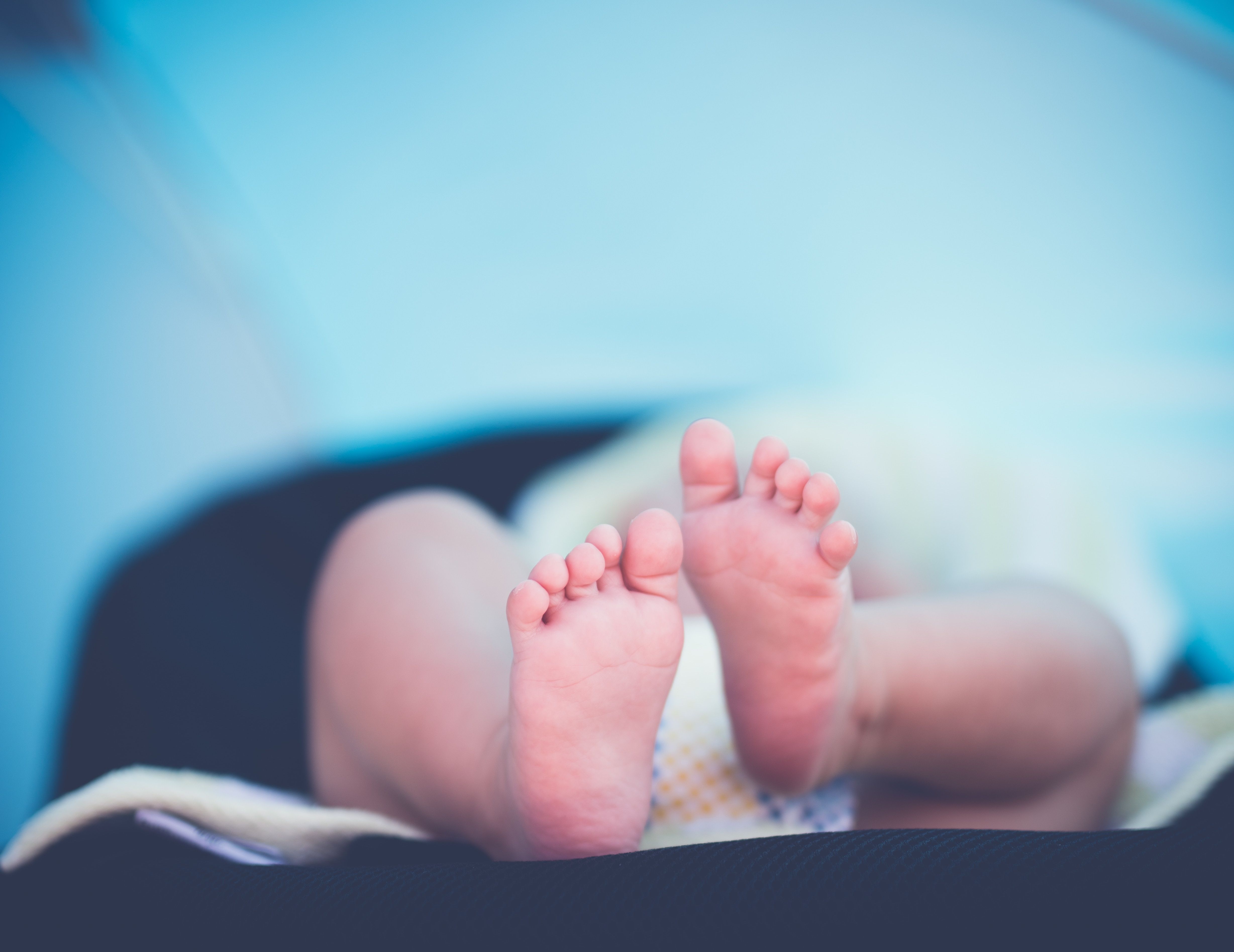 janko-ferlic-142346-unsplash janko-ferlic-142346-unsplash